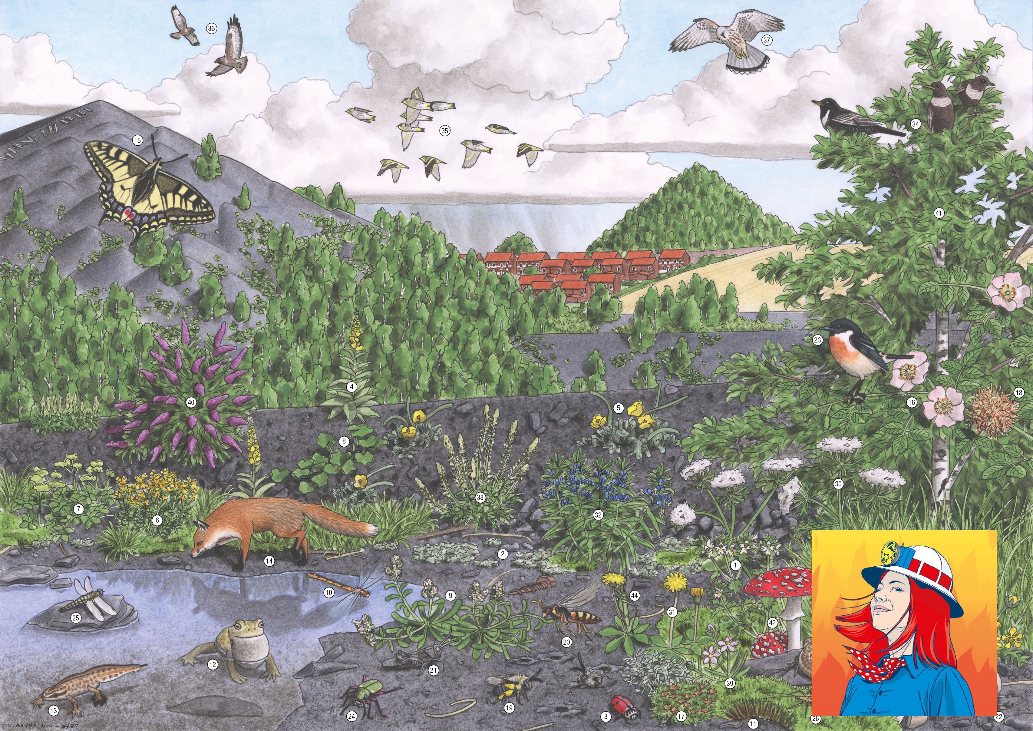 Exposition : "Terrils vivants”