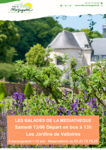 photographie des jardins de Valloires (fleurs violettes)